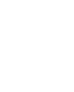 Rendon Homes